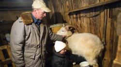 Фермеры давно ждут инвестиции